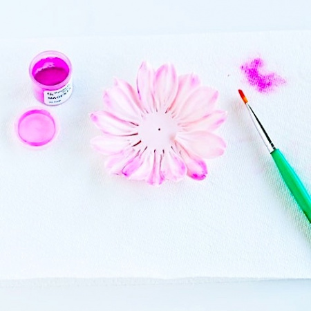 Пищевой краситель цветочная пыльца Желток 5 гр.